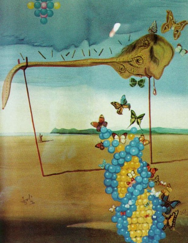 Dali - Surreal Butterfly Landscape Wall Art premium reproduction printed or painted