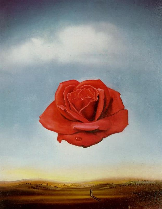 Dali - Meditative Rose Iconic Art premium reproduction printed or painted