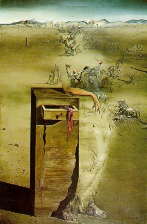 Salvador Dali - Surreal Landscape in Spain wall art