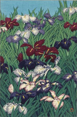 Hasui Kawase - Iris Elegance - 1929 Wall Art wall art