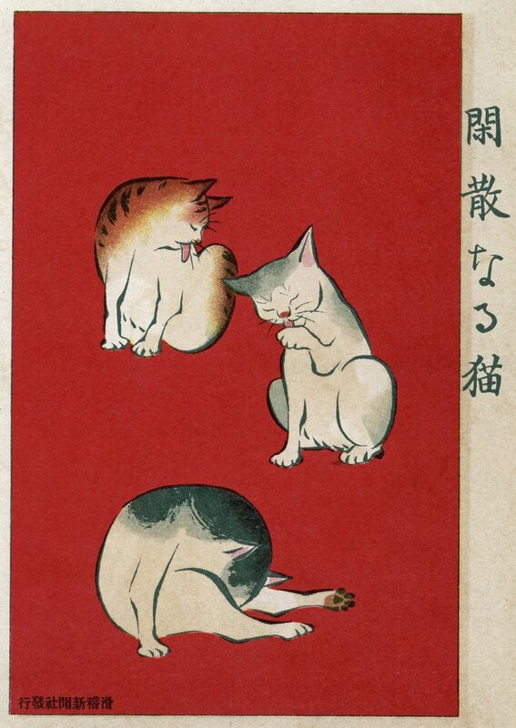 Tranquil Felines: A Journey Through Edo Art premium reproduction