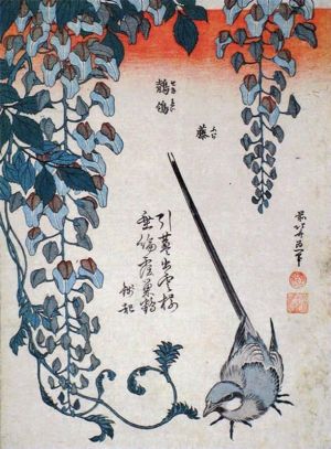 Edo Period Elegance: Wisteria and Bird Harmony wall art