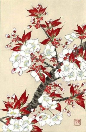 Kawarazaki Shodo: Sakura Cherry Blossoms, Circa 1950 wall art