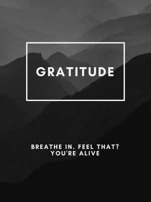 Embrace Gratitude: The Art of Mindful Living wall art