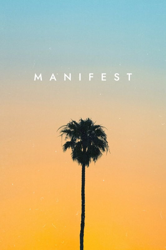 Manifest: Palm Tree at Sunset premium reproduction