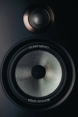 Silent Moves, Loud Results: Speaker Art wall art