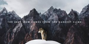 Inspirational Mountain Journey with Wolf wall art