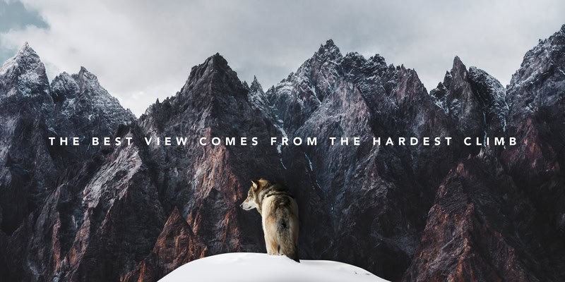 Inspirational Mountain Journey with Wolf premium reproduction