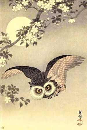 Ohara Koson: Scops Owl in Flight with Cherry Blossoms and Full Moon, 1926 wall art
