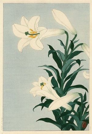 Ohara Koson White Lily Print, 1930s wall art