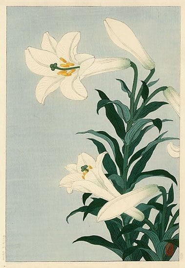 Ohara Koson White Lily Print, 1930s premium reproduction
