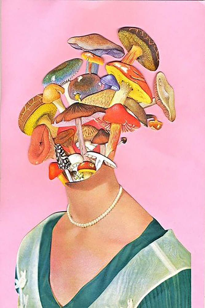 Psychedelic Mushroom Head - Pop Art Collage premium reproduction