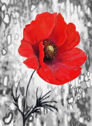 Vivid Elegance: Red Poppy on Abstract Background wall art