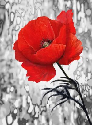 Vivid Red Bloom Against Abstract Background wall art