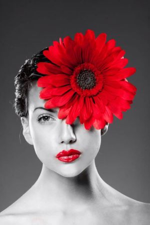 Monochrome Elegance with Red Blossom wall art