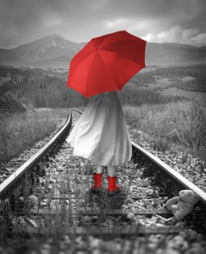The Journey: A Tale in Red and White wall art