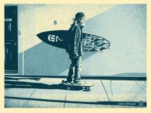Zephyr Skateboarder by Scene Friedman wall art