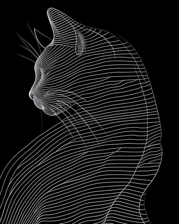 Animal 012