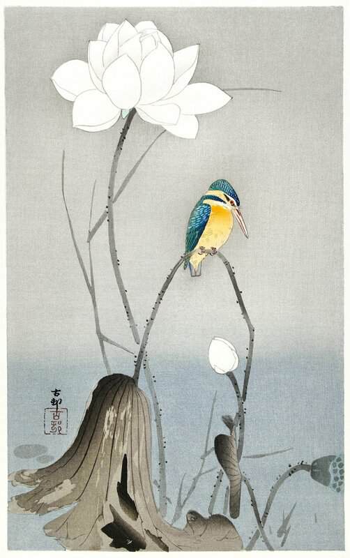 Ohara Koson, Kingfisher with Lotus Flower