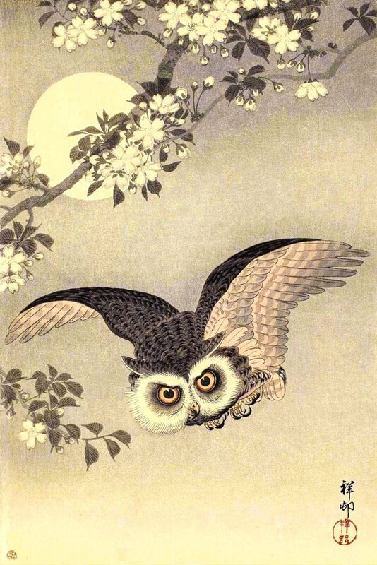 Ohara Koson, Scops Owl in Flight, Cherry Blossoms and Full Moon, 1926